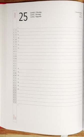 AGENDA GIORNO INTEMPO ALFA 2025 BLU 9X13CM 7123AF