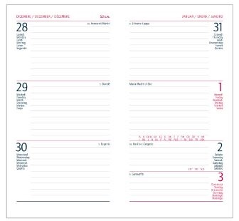 AGENDA INTEMPO SETT. BRAVO 2025 8X15CM FUCSIA 7125BR