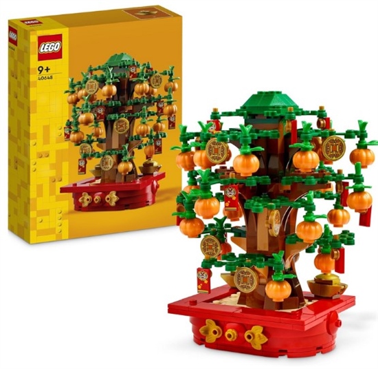 LEGO L'ALBERO DEI SOLDI 40648