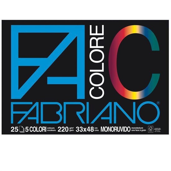 ALBUM BLOCCO MONORUVIDO 33X48 25 FOGLI 5 COLORI 220GR  65251533